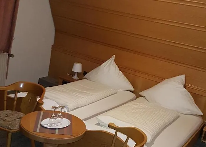 Restaurant Paelzer-buwe 3*